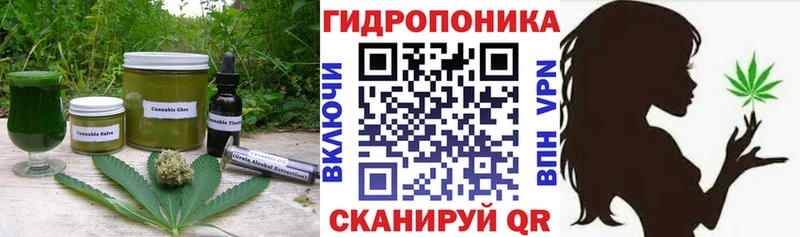 Canna-Cookies конопля  Уржум 